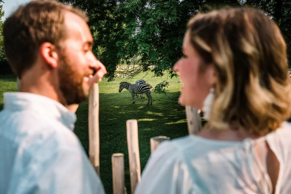 Couple on a date at Central Florida Zoo & Botanical Gardens with a zebra.